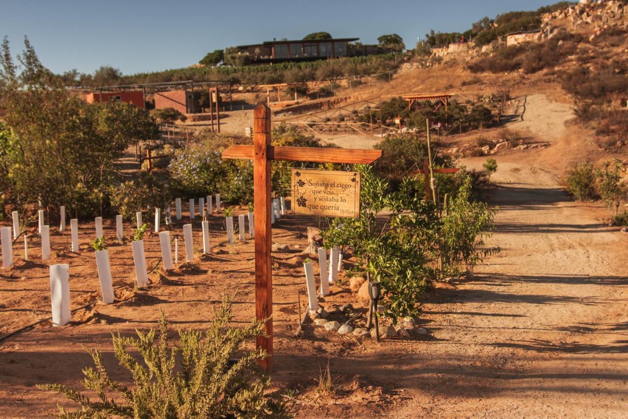 Brisa Del Valle Hotel Boutique Valle de Guadalupe Exteriér fotografie